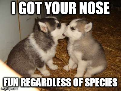 Cute Puppies Meme | I GOT YOUR NOSE; FUN REGARDLESS OF SPECIES | image tagged in memes,cute puppies | made w/ Imgflip meme maker