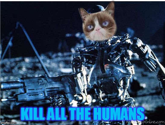 grump cat terminator | KILL ALL THE HUMANS | image tagged in grump cat terminator | made w/ Imgflip meme maker