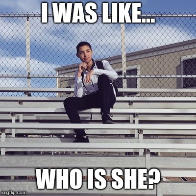 See a girl for the first time | I WAS LIKE... WHO IS SHE? | image tagged in the most interesting man in the world | made w/ Imgflip meme maker