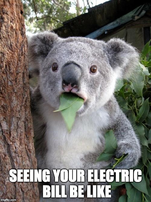 Koala Mol - ala | SEEING YOUR ELECTRIC BILL BE LIKE | image tagged in memes,surprised koala,why | made w/ Imgflip meme maker