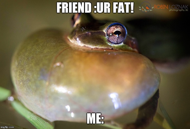 FRIEND :UR FAT! ME: | image tagged in fat frog | made w/ Imgflip meme maker
