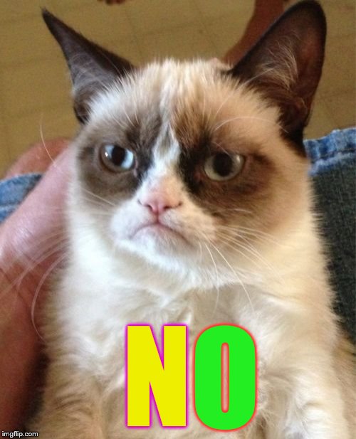 Grumpy Cat Meme | N O | image tagged in memes,grumpy cat | made w/ Imgflip meme maker