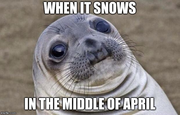 Yes, I live in Wisconsin | WHEN IT SNOWS; IN THE MIDDLE OF APRIL | image tagged in memes,awkward moment sealion | made w/ Imgflip meme maker