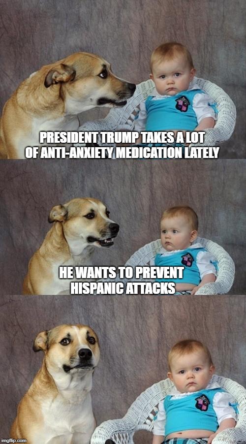 Whatever Works, I Guess | PRESIDENT TRUMP TAKES A LOT OF ANTI-ANXIETY MEDICATION LATELY; HE WANTS TO PREVENT HISPANIC ATTACKS | image tagged in memes,dad joke dog | made w/ Imgflip meme maker