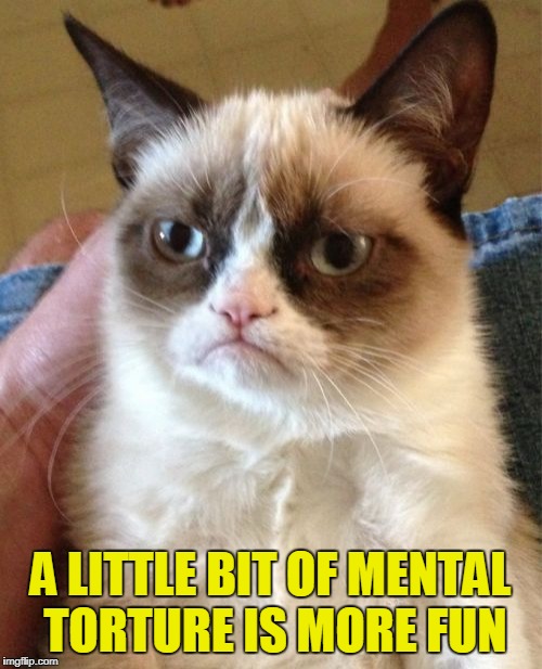 Grumpy Cat Meme | A LITTLE BIT OF MENTAL TORTURE IS MORE FUN | image tagged in memes,grumpy cat | made w/ Imgflip meme maker
