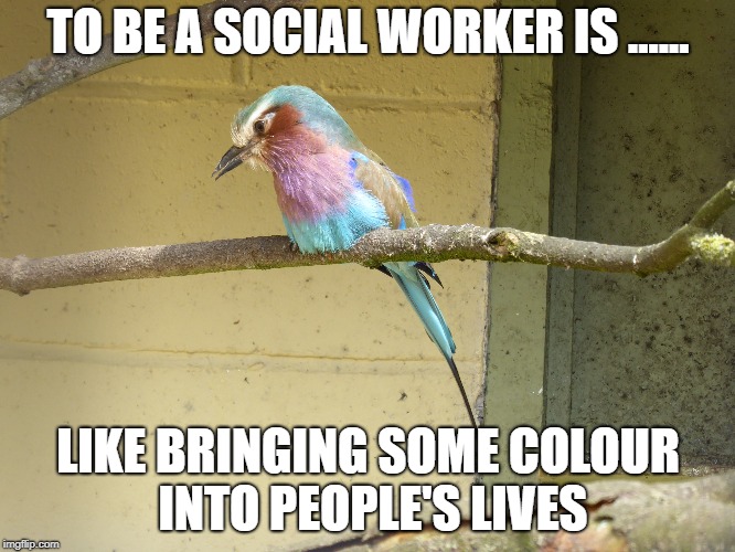 TO BE A SOCIAL WORKER IS ...... LIKE BRINGING SOME COLOUR INTO PEOPLE'S LIVES | image tagged in memes | made w/ Imgflip meme maker