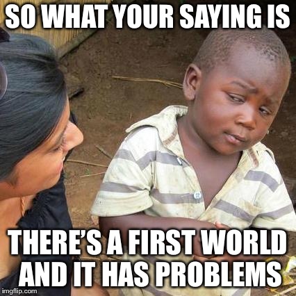 Third World Skeptical Kid Meme | SO WHAT YOUR SAYING IS; THERE’S A FIRST WORLD AND IT HAS PROBLEMS | image tagged in memes,third world skeptical kid | made w/ Imgflip meme maker