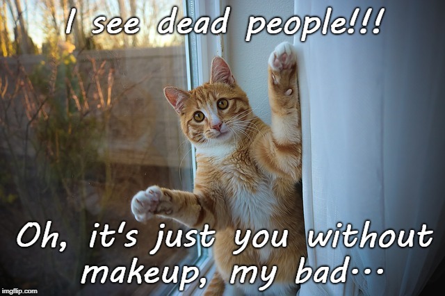 Insulted by the cat... | I see dead people!!! Oh, it's just you without makeup, my bad... | image tagged in see,dead,people,you,no makeup | made w/ Imgflip meme maker