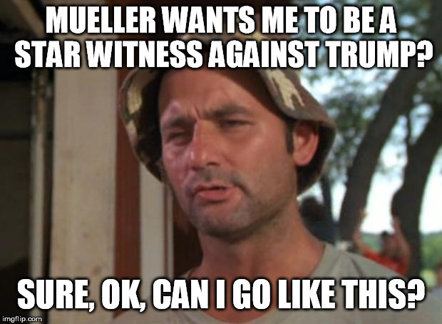 So I Got That Goin For Me Which Is Nice Meme | MUELLER WANTS ME TO BE A STAR WITNESS AGAINST TRUMP? SURE, OK, CAN I GO LIKE THIS? | image tagged in memes,so i got that goin for me which is nice | made w/ Imgflip meme maker