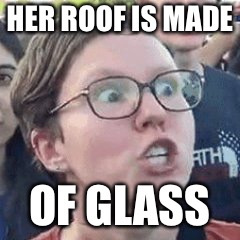 HER ROOF IS MADE OF GLASS | made w/ Imgflip meme maker