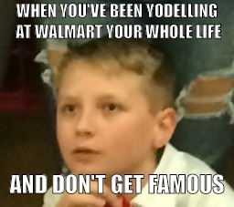 WHEN YOU'VE BEEN YODELLING AT WALMART YOUR WHOLE LIFE; AND DON'T GET FAMOUS | image tagged in memes | made w/ Imgflip meme maker