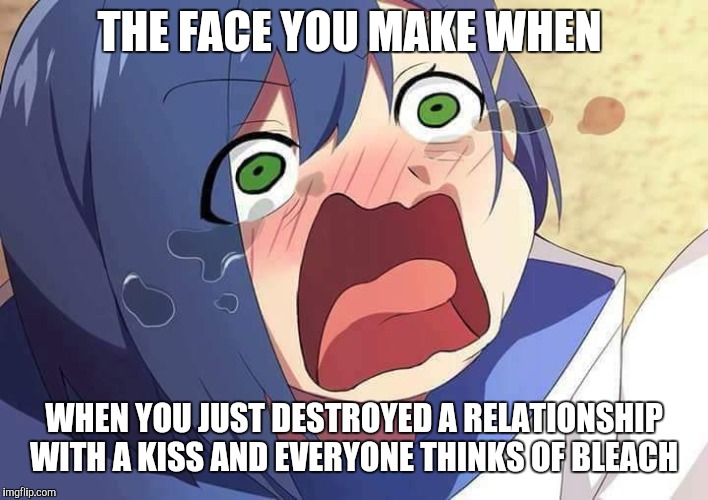 Darling in the Franxx Ichigo | THE FACE YOU MAKE WHEN; WHEN YOU JUST DESTROYED A RELATIONSHIP WITH A KISS AND EVERYONE THINKS OF BLEACH | image tagged in darling in the franxx ichigo | made w/ Imgflip meme maker