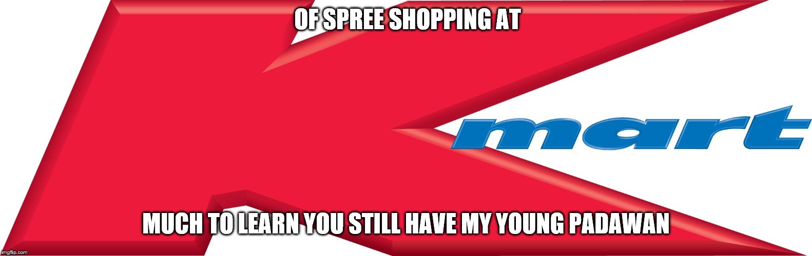 OF SPREE SHOPPING AT; MUCH TO LEARN YOU STILL HAVE MY YOUNG PADAWAN | image tagged in kirsten ogden | made w/ Imgflip meme maker