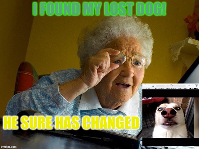 Grandma Finds The Internet Meme | I FOUND MY LOST DOG! HE SURE HAS CHANGED | image tagged in memes,grandma finds the internet | made w/ Imgflip meme maker