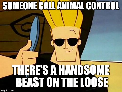 Johnny Bravo | SOMEONE CALL ANIMAL CONTROL; THERE'S A HANDSOME BEAST ON THE LOOSE | image tagged in johnny bravo | made w/ Imgflip meme maker