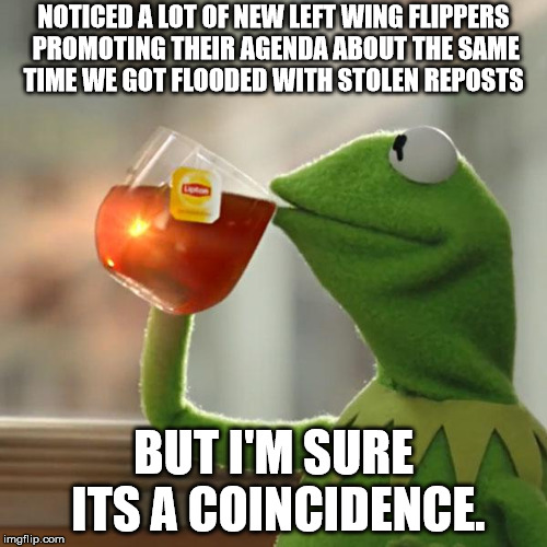 But That's None Of My Business | NOTICED A LOT OF NEW LEFT WING FLIPPERS PROMOTING THEIR AGENDA ABOUT THE SAME TIME WE GOT FLOODED WITH STOLEN REPOSTS; BUT I'M SURE ITS A COINCIDENCE. | image tagged in memes,but thats none of my business,kermit the frog | made w/ Imgflip meme maker