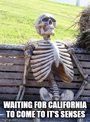 Waiting Skeleton Meme | WAITING FOR CALIFORNIA TO COME TO IT'S SENSES | image tagged in memes,waiting skeleton | made w/ Imgflip meme maker