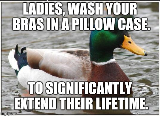 Actual Advice Mallard Meme | LADIES, WASH YOUR BRAS IN A PILLOW CASE. TO SIGNIFICANTLY EXTEND THEIR LIFETIME. | image tagged in memes,actual advice mallard | made w/ Imgflip meme maker