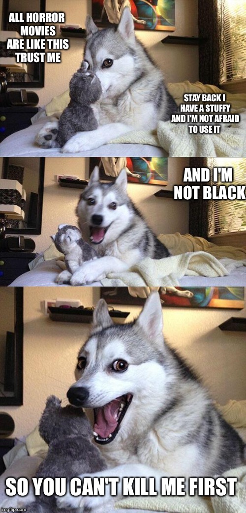 Bad Pun Dog | ALL HORROR MOVIES ARE LIKE THIS TRUST ME; STAY BACK I HAVE A STUFFY AND I'M NOT AFRAID TO USE IT; AND I'M NOT BLACK; SO YOU CAN'T KILL ME FIRST | image tagged in memes,bad pun dog | made w/ Imgflip meme maker