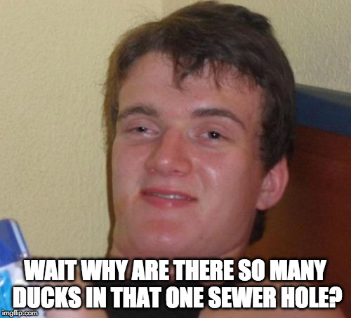 10 Guy Meme | WAIT WHY ARE THERE SO MANY DUCKS IN THAT ONE SEWER HOLE? | image tagged in memes,10 guy | made w/ Imgflip meme maker