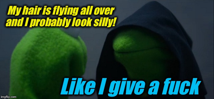 Evil Kermit Meme | My hair is flying all over and I probably look silly! Like I give a f**k | image tagged in memes,evil kermit | made w/ Imgflip meme maker