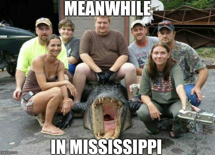 MEANWHILE; IN MISSISSIPPI | image tagged in jbmemegeek,rednecks,you might be a redneck if,mississippi,white trash family,alligator | made w/ Imgflip meme maker