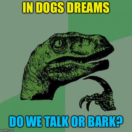 Philosoraptor | IN DOGS DREAMS; DO WE TALK OR BARK? | image tagged in memes,philosoraptor | made w/ Imgflip meme maker