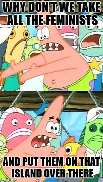 Put It Somewhere Else Patrick Meme | WHY DON'T WE TAKE ALL THE FEMINISTS AND PUT THEM ON THAT ISLAND OVER THERE | image tagged in memes,put it somewhere else patrick | made w/ Imgflip meme maker
