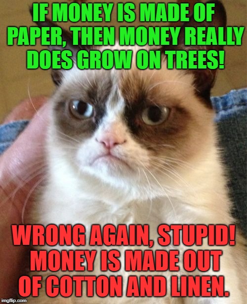 $$$ Grumpy Cat $$$ | IF MONEY IS MADE OF PAPER, THEN MONEY REALLY DOES GROW ON TREES! WRONG AGAIN, STUPID! MONEY IS MADE OUT OF COTTON AND LINEN. | image tagged in memes,grumpy cat,bad luck,money,first world problems,funny | made w/ Imgflip meme maker