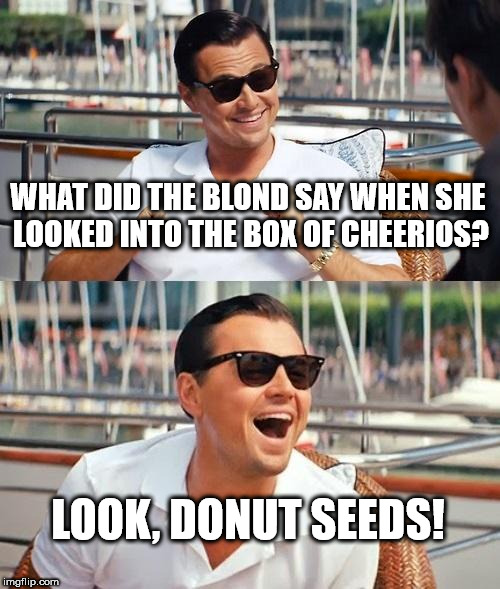 Leonardo Dicaprio Wolf Of Wall Street Meme | WHAT DID THE BLOND SAY WHEN SHE LOOKED INTO THE BOX OF CHEERIOS? LOOK, DONUT SEEDS! | image tagged in memes,leonardo dicaprio wolf of wall street | made w/ Imgflip meme maker