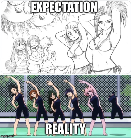 EXPECTATION; REALITY | image tagged in my hero academia | made w/ Imgflip meme maker