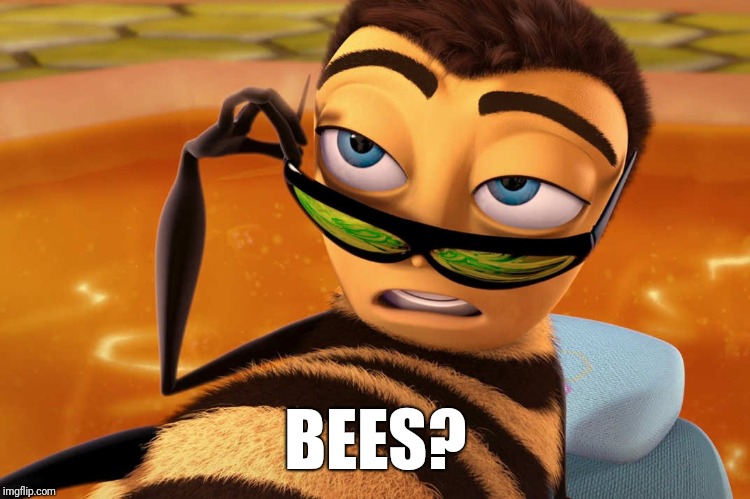 Bee movie | BEES? | image tagged in bee movie | made w/ Imgflip meme maker