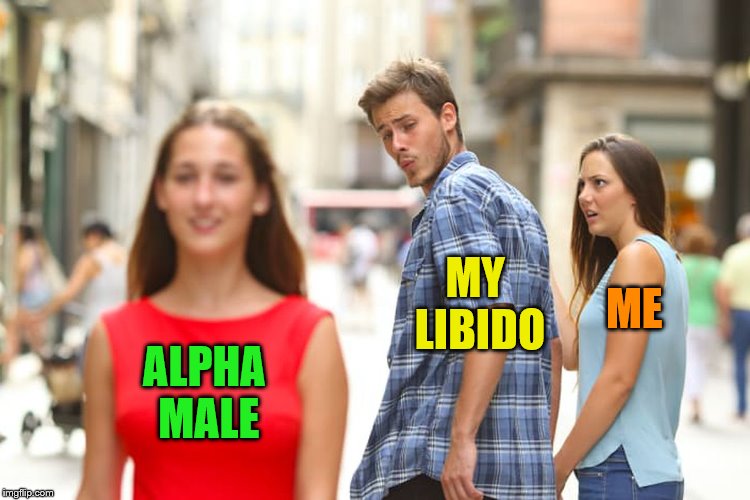 I don't know why. | MY LIBIDO; ME; ALPHA MALE | image tagged in memes,distracted boyfriend,libido,alpha male | made w/ Imgflip meme maker