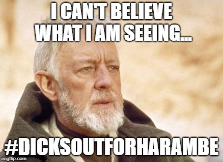 Obi Wan Kenobi Meme |  I CAN'T BELIEVE WHAT I AM SEEING... #DICKSOUTFORHARAMBE | image tagged in memes,obi wan kenobi | made w/ Imgflip meme maker