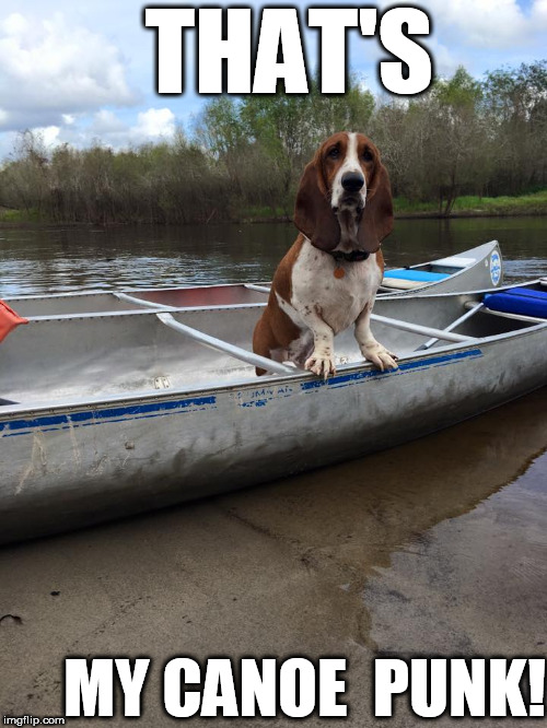  DE BARK | THAT'S; MY CANOE  PUNK! | image tagged in bark,canoe,dog | made w/ Imgflip meme maker