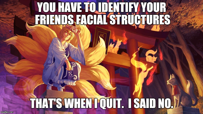 YOU HAVE TO IDENTIFY YOUR FRIENDS FACIAL STRUCTURES THAT'S WHEN I QUIT.  I SAID NO. | made w/ Imgflip meme maker