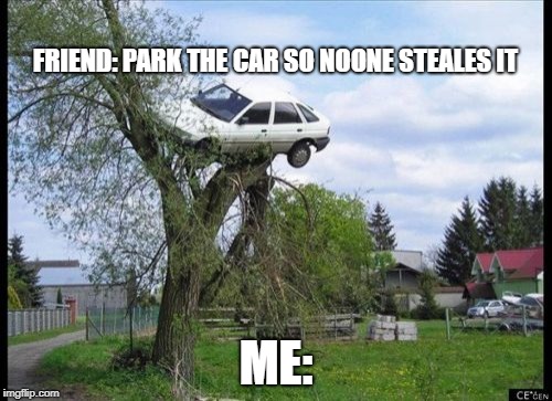 Secure Parking | FRIEND: PARK THE CAR SO NOONE STEALES IT; ME: | image tagged in memes,secure parking | made w/ Imgflip meme maker