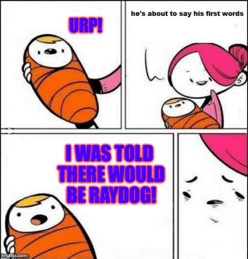 Not complaining really.  Just making an observation. | URP! I WAS TOLD THERE WOULD BE RAYDOG! | image tagged in memes,baby first words,raydog | made w/ Imgflip meme maker