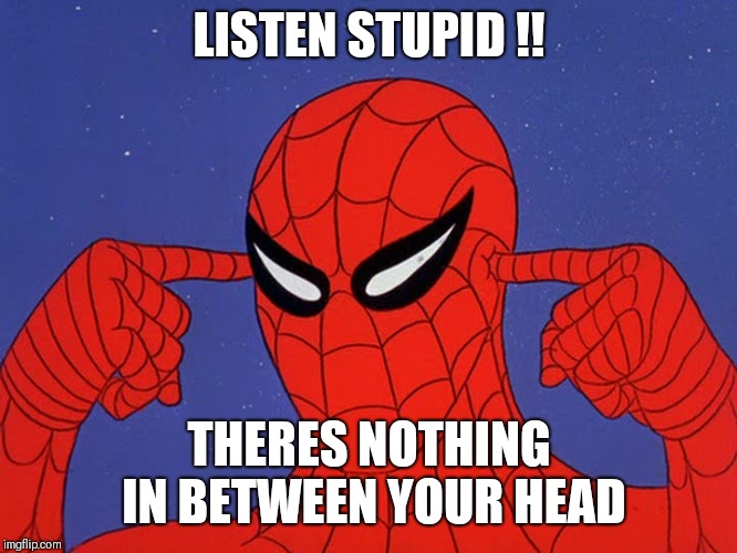 60s Spiderman | LISTEN STUPID !! THERES NOTHING IN BETWEEN YOUR HEAD | image tagged in 60s spiderman | made w/ Imgflip meme maker