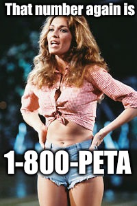 That number again is 1-800-PETA | made w/ Imgflip meme maker