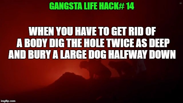 Gangsta life hack# 14 | GANGSTA LIFE HACK# 14; WHEN YOU HAVE TO GET RID OF A BODY DIG THE HOLE TWICE AS DEEP AND BURY A LARGE DOG HALFWAY DOWN | image tagged in funny,life hack | made w/ Imgflip meme maker