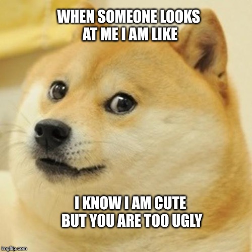 Doge Meme | WHEN SOMEONE LOOKS AT ME I AM LIKE; I KNOW I AM CUTE BUT YOU ARE TOO UGLY | image tagged in memes,doge | made w/ Imgflip meme maker