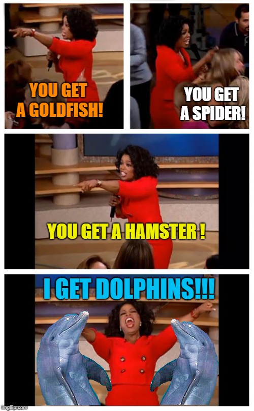 Everybody gets a pet | YOU GET A SPIDER! YOU GET A GOLDFISH! YOU GET A HAMSTER ! I GET DOLPHINS!!! | image tagged in memes,oprah you get a car everybody gets a car,dolphins | made w/ Imgflip meme maker