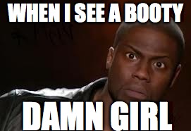Kevin Hart | WHEN I SEE A BOOTY; DAMN GIRL | image tagged in memes,kevin hart the hell | made w/ Imgflip meme maker