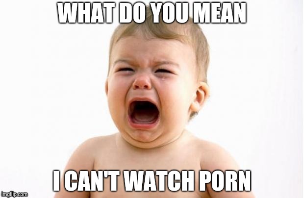 WHAT DO YOU MEAN I CAN'T WATCH PORN | image tagged in cry baby socrates | made w/ Imgflip meme maker
