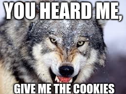 YOU HEARD ME, GIVE ME THE COOKIES | image tagged in cookie meme,wolf meme,angry meme,wolf cookie meme,angry wolf meme,meme | made w/ Imgflip meme maker