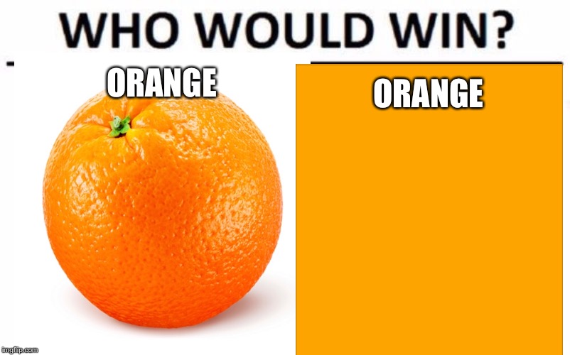 Orange vs orange  | ORANGE; ORANGE | image tagged in who would win | made w/ Imgflip meme maker