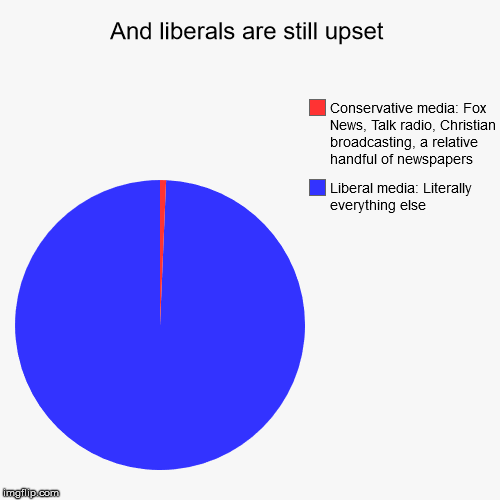 And liberals are still upset | Liberal media: Literally everything else, Conservative media: Fox News, Talk radio, Christian broadcasting, a | image tagged in funny,pie charts | made w/ Imgflip chart maker