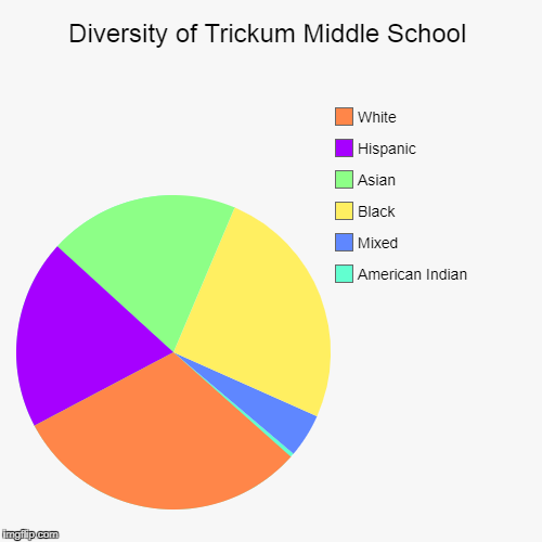 Diversity of Trickum Middle School | American Indian, Mixed, Black, Asian, Hispanic, White | image tagged in funny,pie charts | made w/ Imgflip chart maker