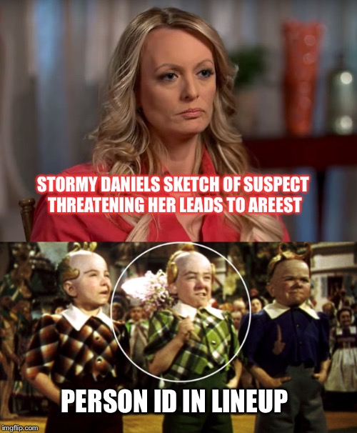 STORMY DANIELS SKETCH OF SUSPECT THREATENING HER LEADS TO AREEST; PERSON ID IN LINEUP | image tagged in stormy daniels | made w/ Imgflip meme maker